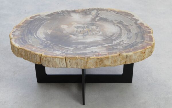 Coffee table petrified wood 51237