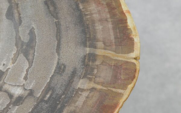 Coffee table petrified wood 51237