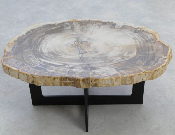 Coffee table petrified wood 51238