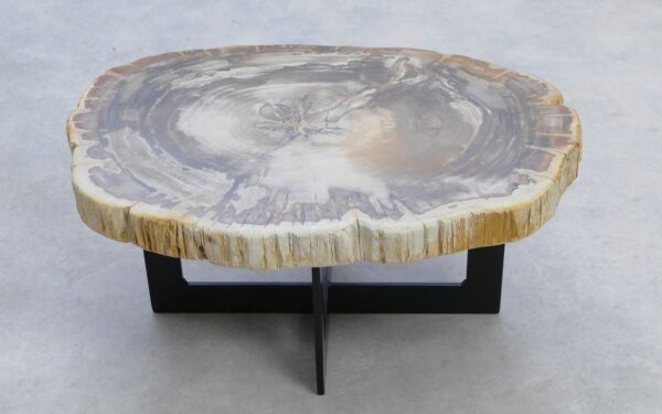 Coffee table petrified wood 51239