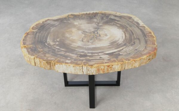 Coffee table petrified wood 51242