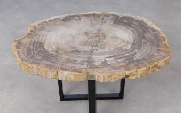 Coffee table petrified wood 51243