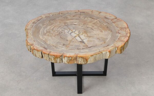 Coffee table petrified wood 51244