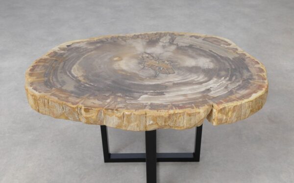 Coffee table petrified wood 51245