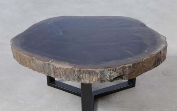 Coffee table petrified wood 51246