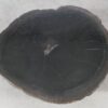 Coffee table petrified wood 51248
