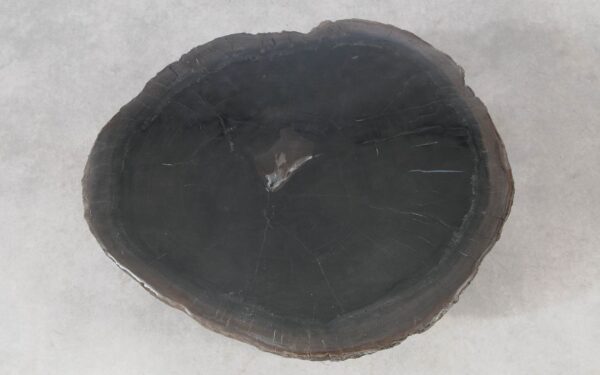 Coffee table petrified wood 51248