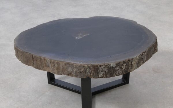 Coffee table petrified wood 51248