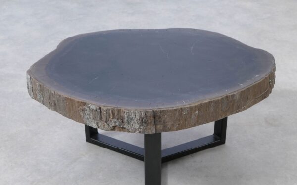 Coffee table petrified wood 51249