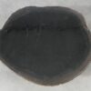 Coffee table petrified wood 51250