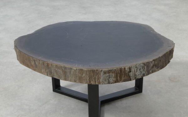 Coffee table petrified wood 51250