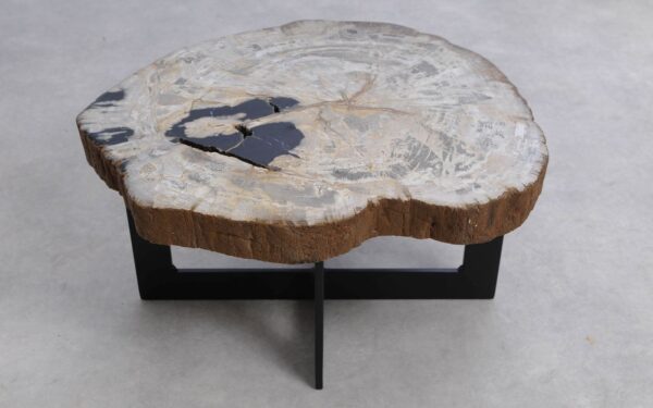 Coffee table petrified wood 51254