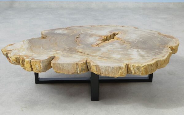 Coffee table petrified wood 51256