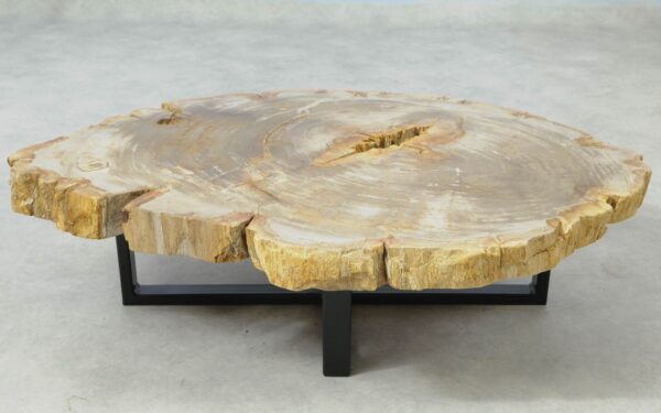 Coffee table petrified wood 51257