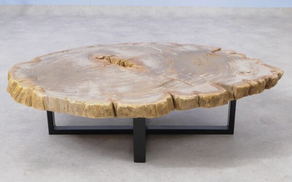 Coffee table petrified wood 51258