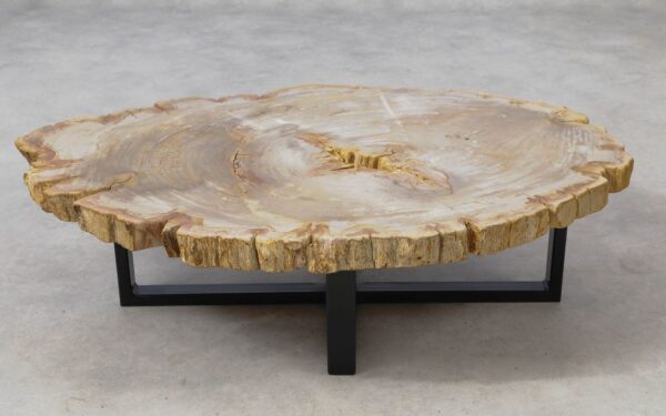 Coffee table petrified wood 51259