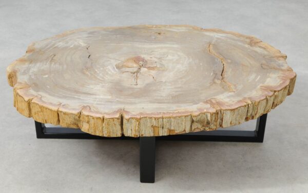 Coffee table petrified wood 51260