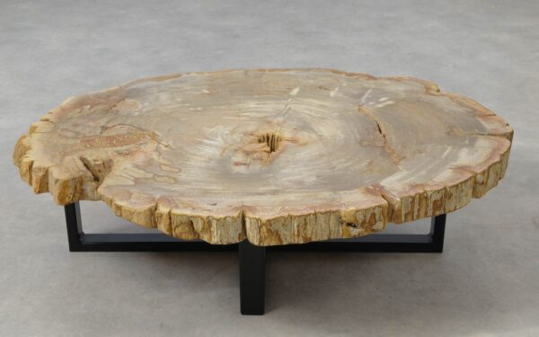 Coffee table petrified wood 51261