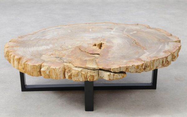 Coffee table petrified wood 51262