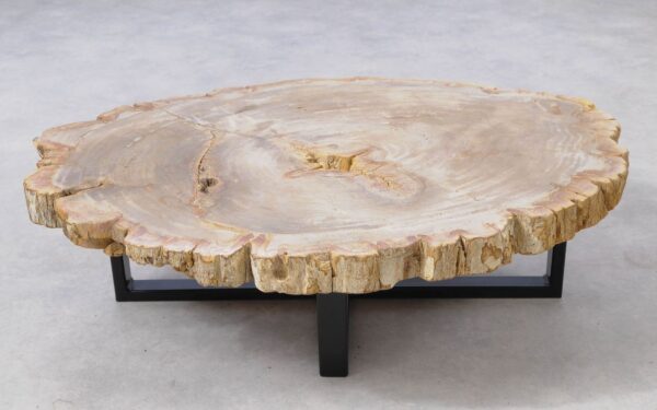 Coffee table petrified wood 51263