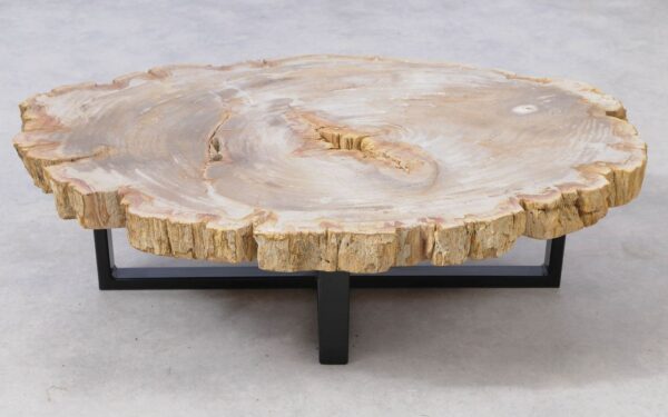 Coffee table petrified wood 51264