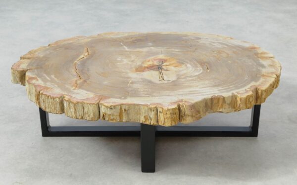 Coffee table petrified wood 51265