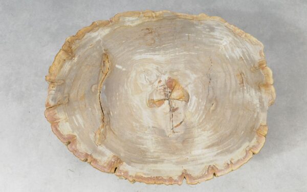 Coffee table petrified wood 51267