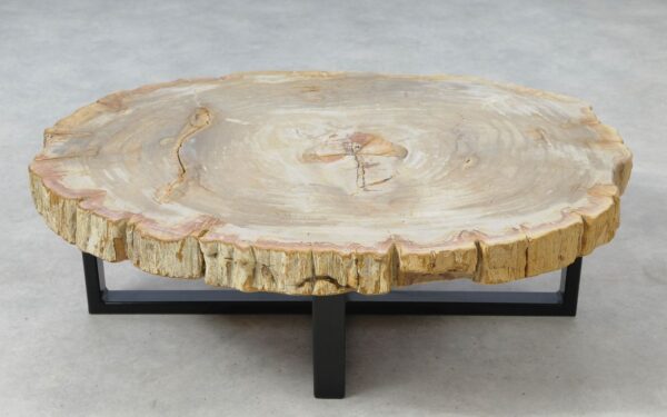 Coffee table petrified wood 51267