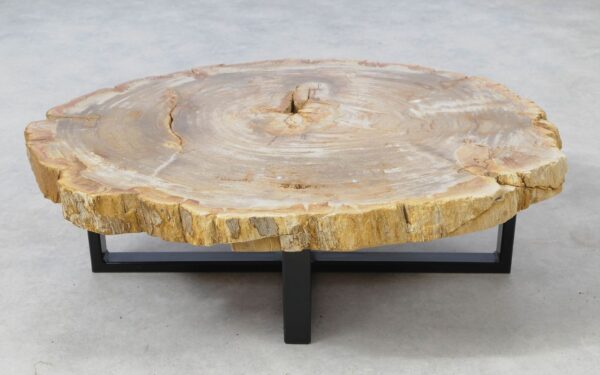 Coffee table petrified wood 51268