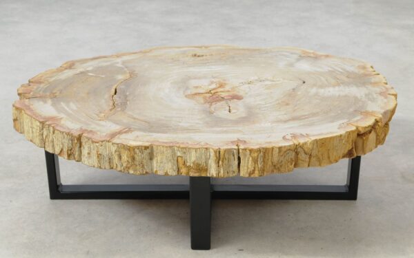 Coffee table petrified wood 51270