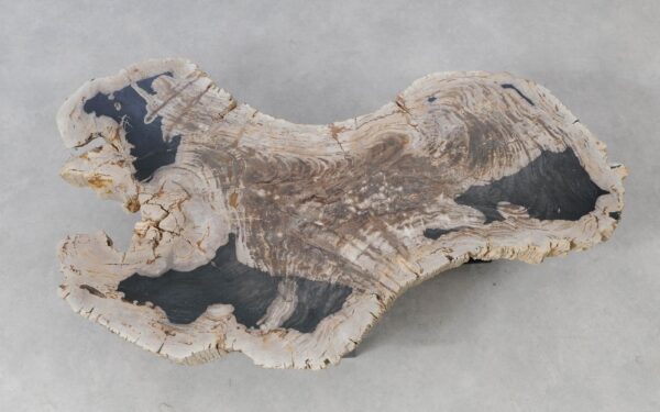 Coffee table petrified wood 51271