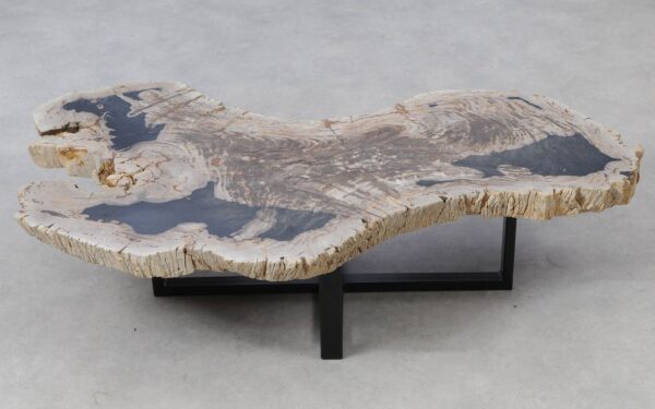 Coffee table petrified wood 51271