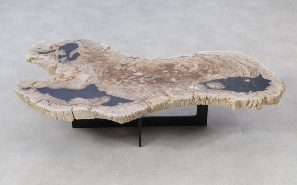 Coffee table petrified wood 51273