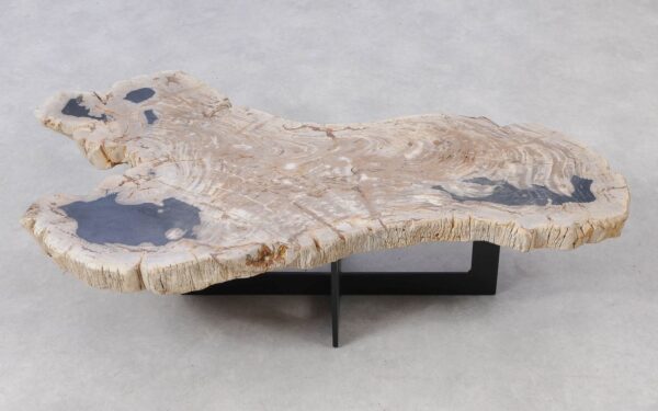 Coffee table petrified wood 51274