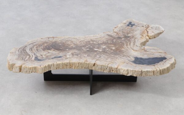 Coffee table petrified wood 51275