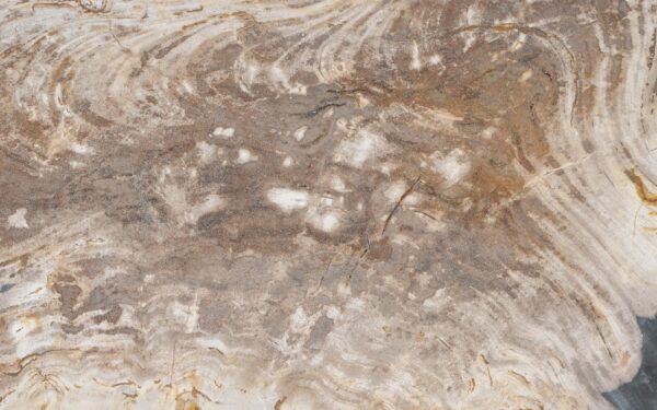 Coffee table petrified wood 51275