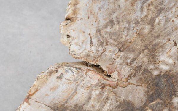 Coffee table petrified wood 51275