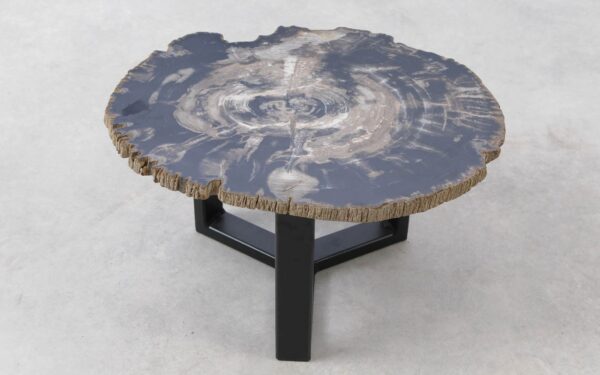 Coffee table petrified wood 51278