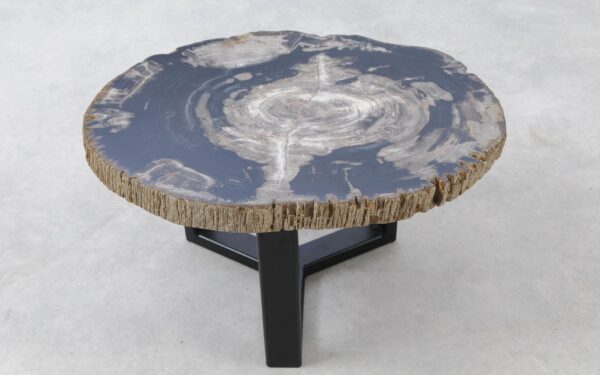 Coffee table petrified wood 51280