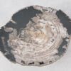Coffee table petrified wood 51281