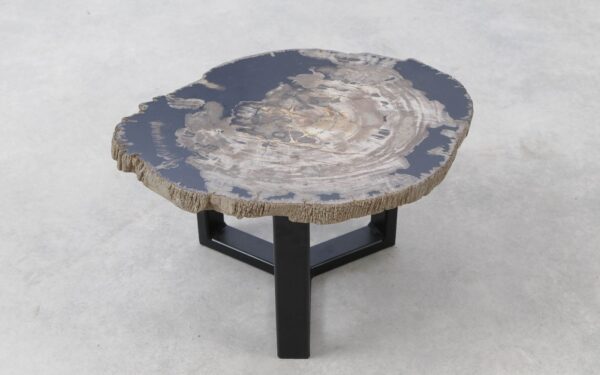 Coffee table petrified wood 51281