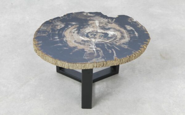 Coffee table petrified wood 51282