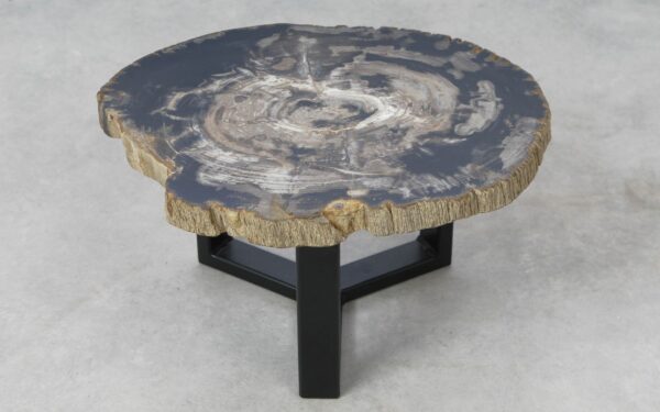 Coffee table petrified wood 51283