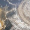 Coffee table petrified wood 51283