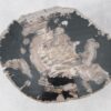 Coffee table petrified wood 51285