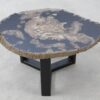 Coffee table petrified wood 51285