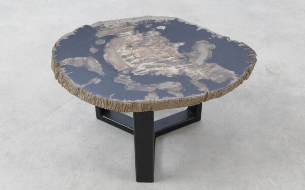 Coffee table petrified wood 51285