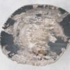 Coffee table petrified wood 51285