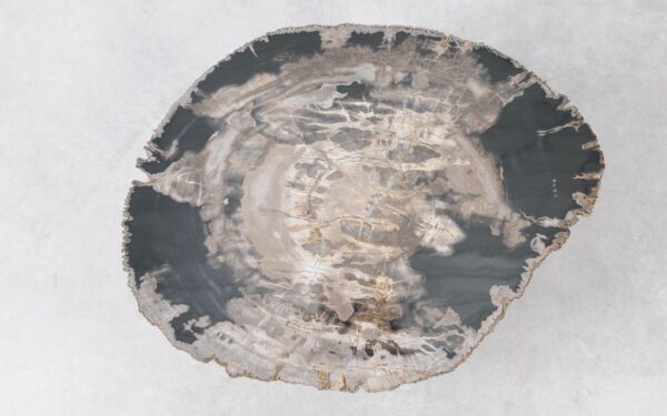 Coffee table petrified wood 51285