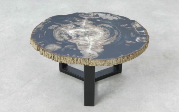 Coffee table petrified wood 51286